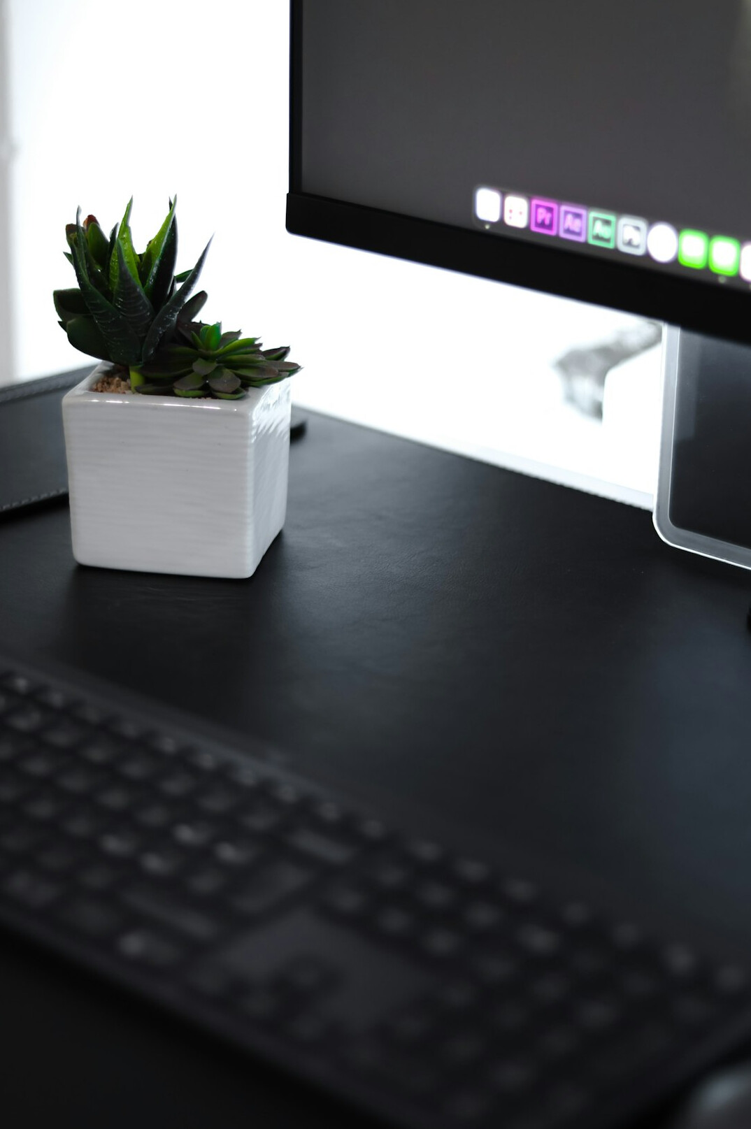 plants on office desk