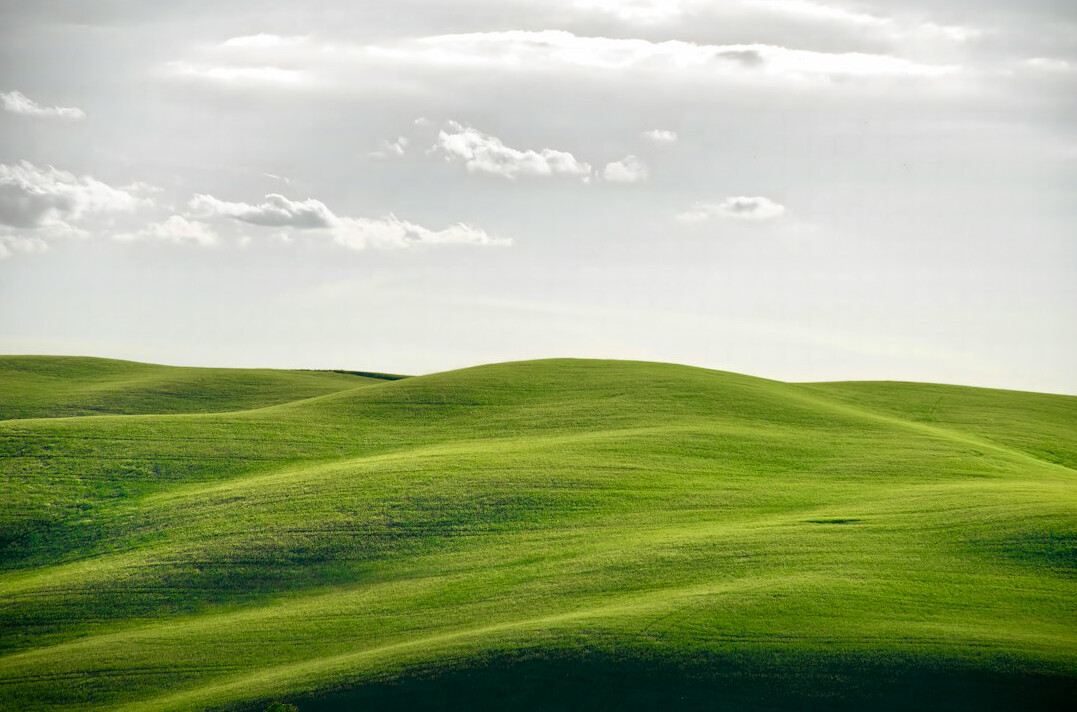 green nature landscape