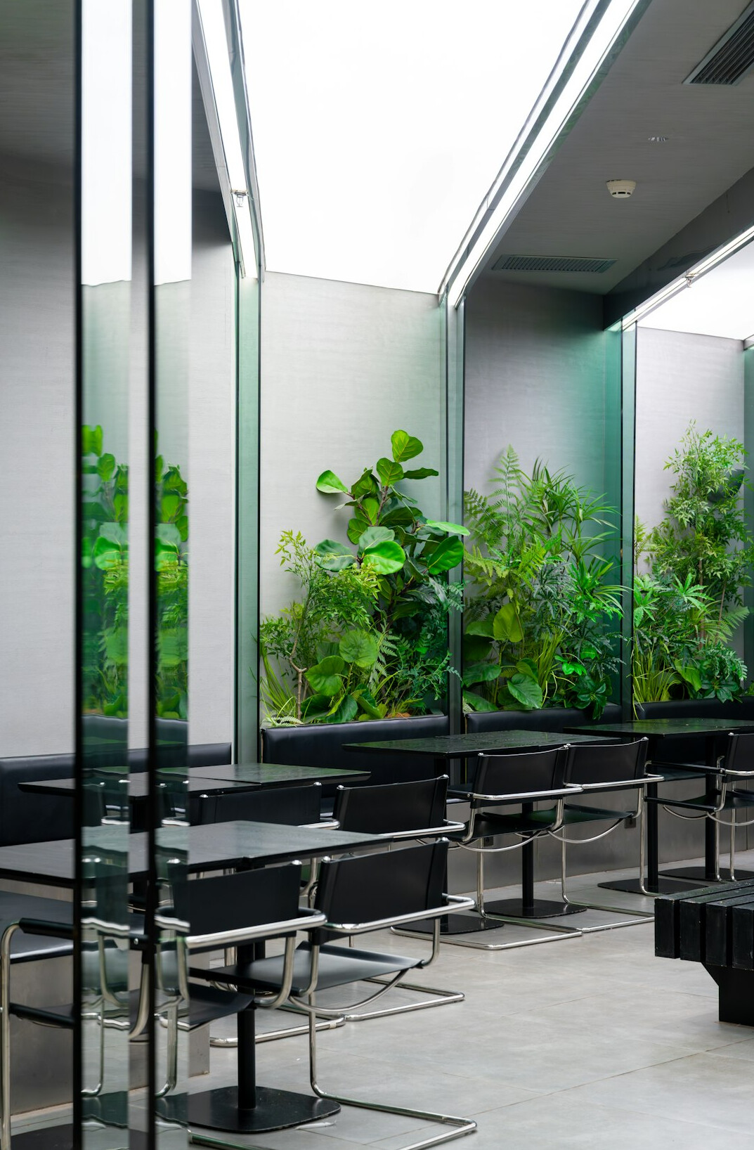 modern green office with plants
